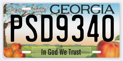 GA license plate PSD9340