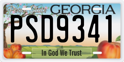 GA license plate PSD9341