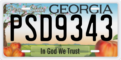 GA license plate PSD9343