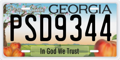 GA license plate PSD9344