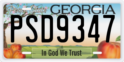 GA license plate PSD9347
