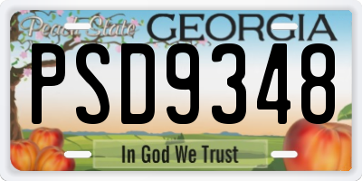 GA license plate PSD9348