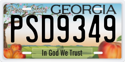 GA license plate PSD9349