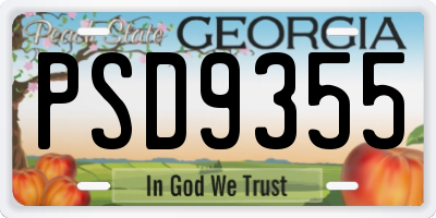 GA license plate PSD9355