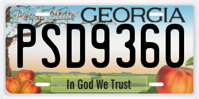 GA license plate PSD9360