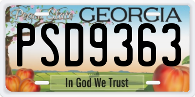 GA license plate PSD9363