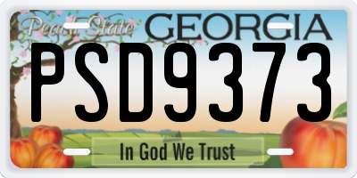 GA license plate PSD9373