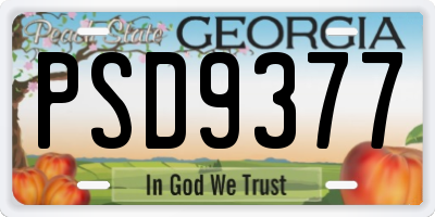 GA license plate PSD9377