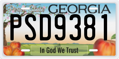 GA license plate PSD9381