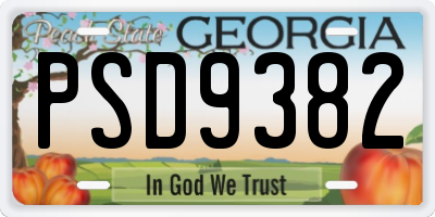 GA license plate PSD9382