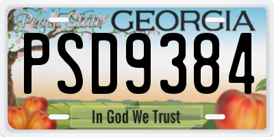 GA license plate PSD9384