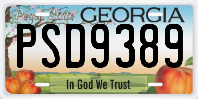 GA license plate PSD9389