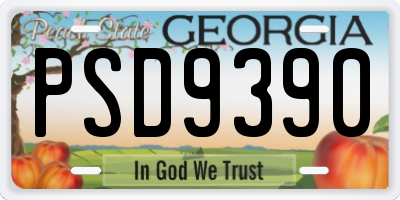 GA license plate PSD9390