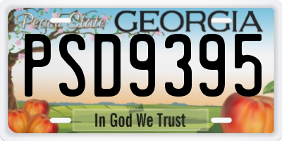 GA license plate PSD9395