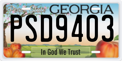 GA license plate PSD9403