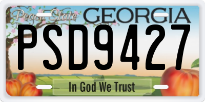 GA license plate PSD9427