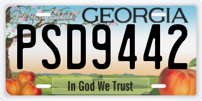 GA license plate PSD9442