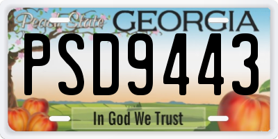 GA license plate PSD9443