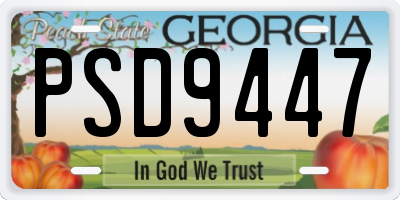 GA license plate PSD9447