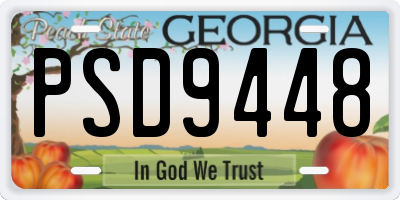 GA license plate PSD9448