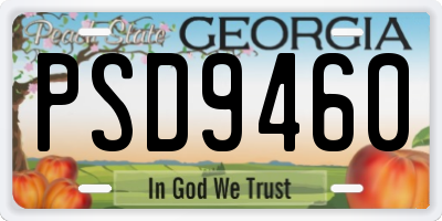 GA license plate PSD9460
