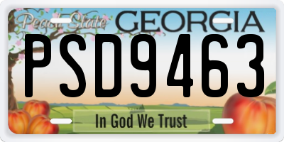 GA license plate PSD9463