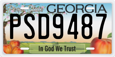 GA license plate PSD9487