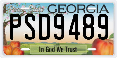 GA license plate PSD9489