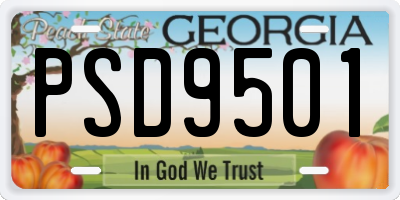 GA license plate PSD9501