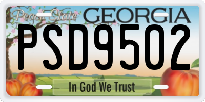 GA license plate PSD9502