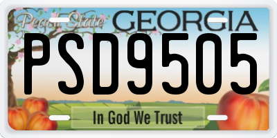GA license plate PSD9505