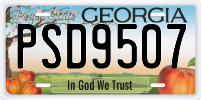 GA license plate PSD9507