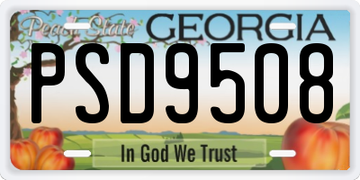 GA license plate PSD9508