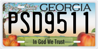 GA license plate PSD9511