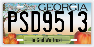 GA license plate PSD9513