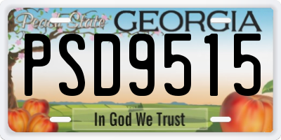 GA license plate PSD9515