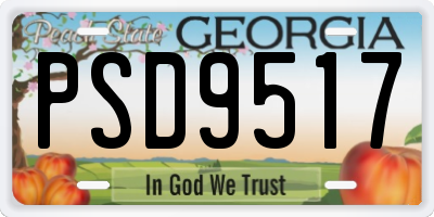 GA license plate PSD9517
