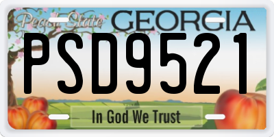 GA license plate PSD9521