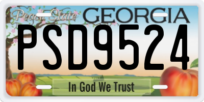GA license plate PSD9524