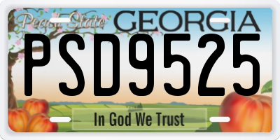 GA license plate PSD9525