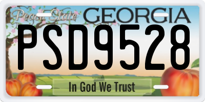 GA license plate PSD9528