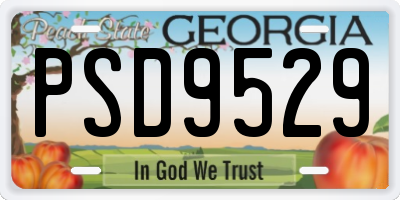 GA license plate PSD9529