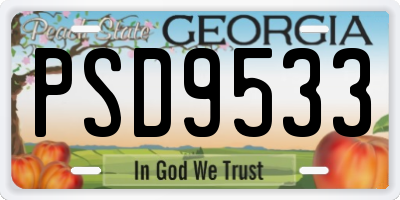 GA license plate PSD9533