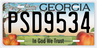 GA license plate PSD9534