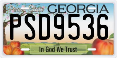 GA license plate PSD9536