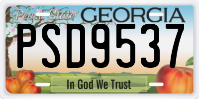 GA license plate PSD9537