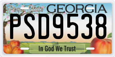 GA license plate PSD9538