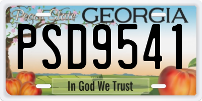 GA license plate PSD9541