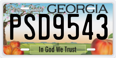 GA license plate PSD9543