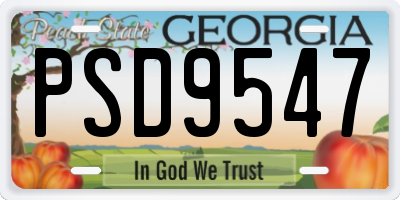 GA license plate PSD9547